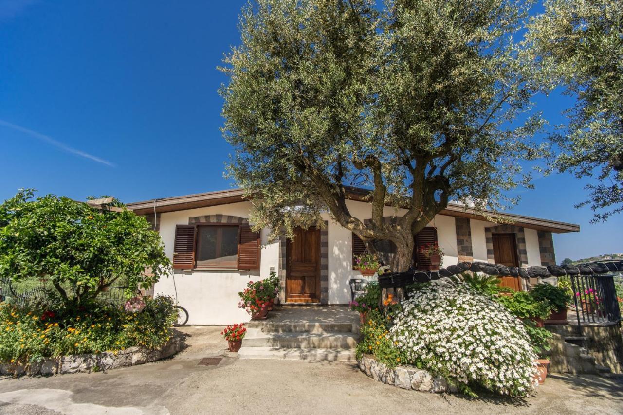 סנט אגאתה סוי דואה גולפי Villa Mattia In The Land Of Sirens מראה חיצוני תמונה