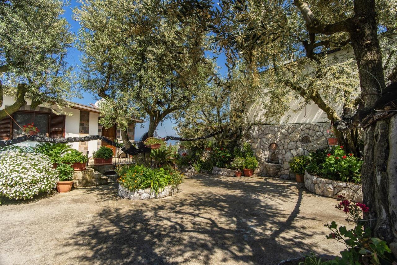 סנט אגאתה סוי דואה גולפי Villa Mattia In The Land Of Sirens מראה חיצוני תמונה