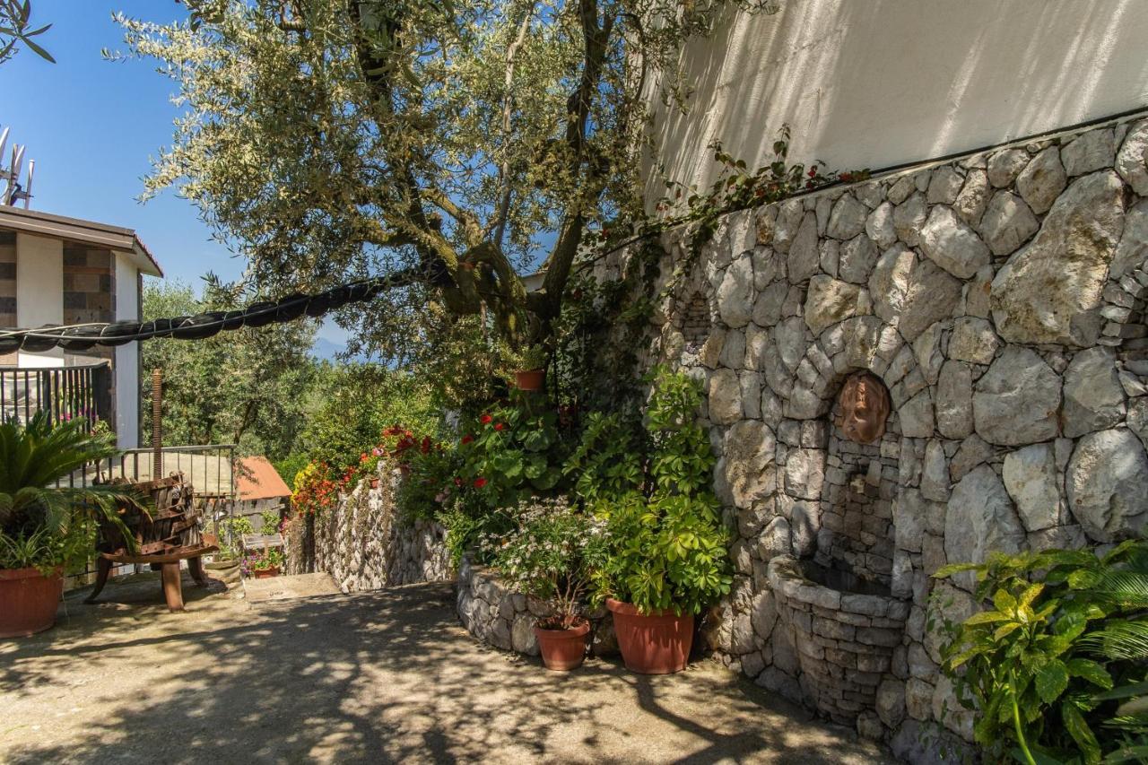 סנט אגאתה סוי דואה גולפי Villa Mattia In The Land Of Sirens מראה חיצוני תמונה